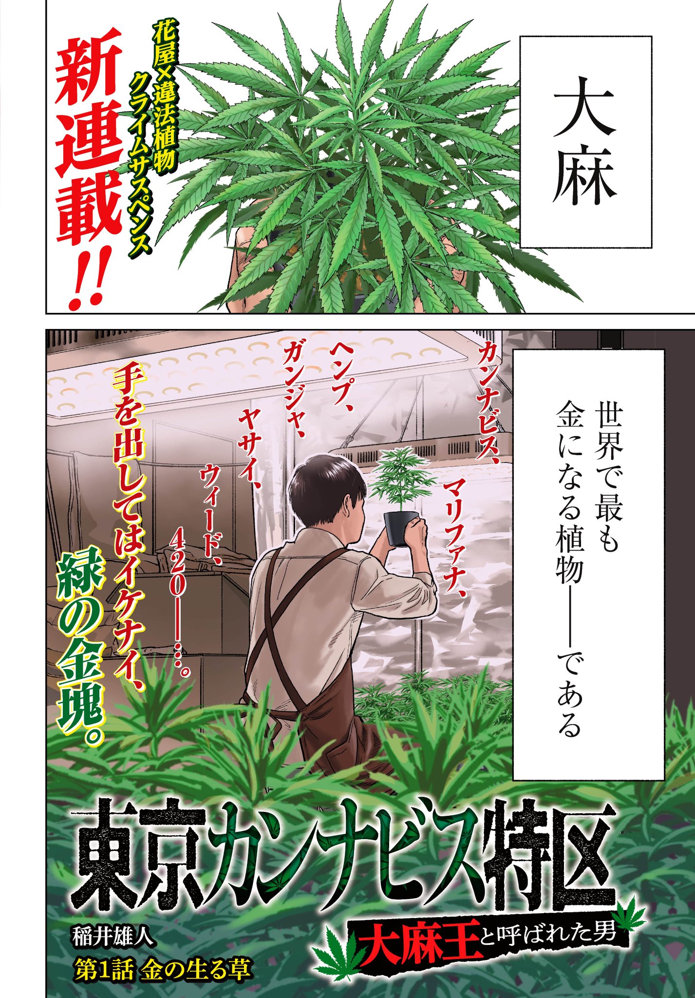 東京カンナビス特区 大麻王と呼ばれた男 超特価sale開催