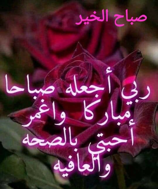 الشمس قد قُسِّمتْ نصفين لي و لها
النور في وجهها و النار في كبدي

 #جاي_الخير
#صباح_الخير