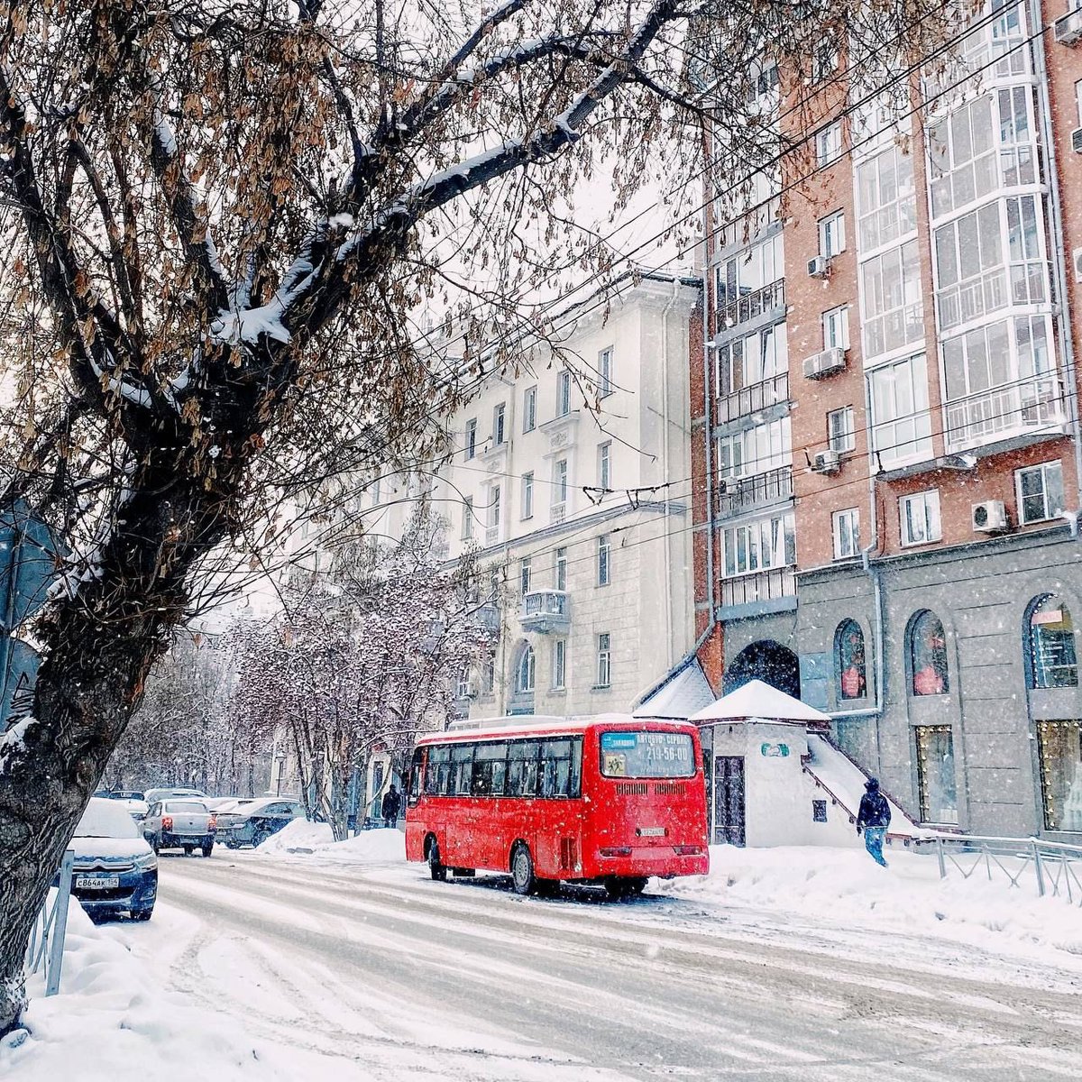 ロシア🇷🇺ノボシビルスク市内、日常の一コマ🚌