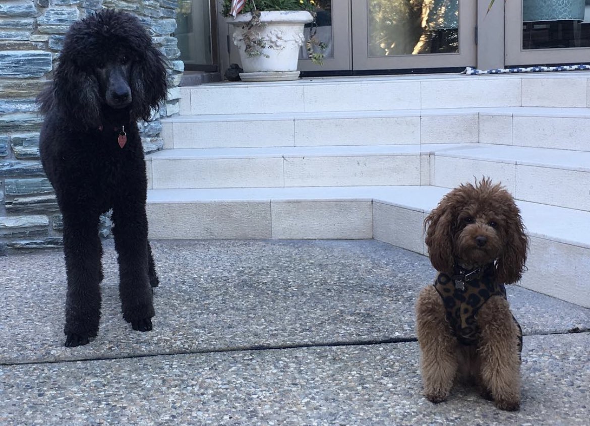 Laura (@lauragoswim) on Twitter photo 