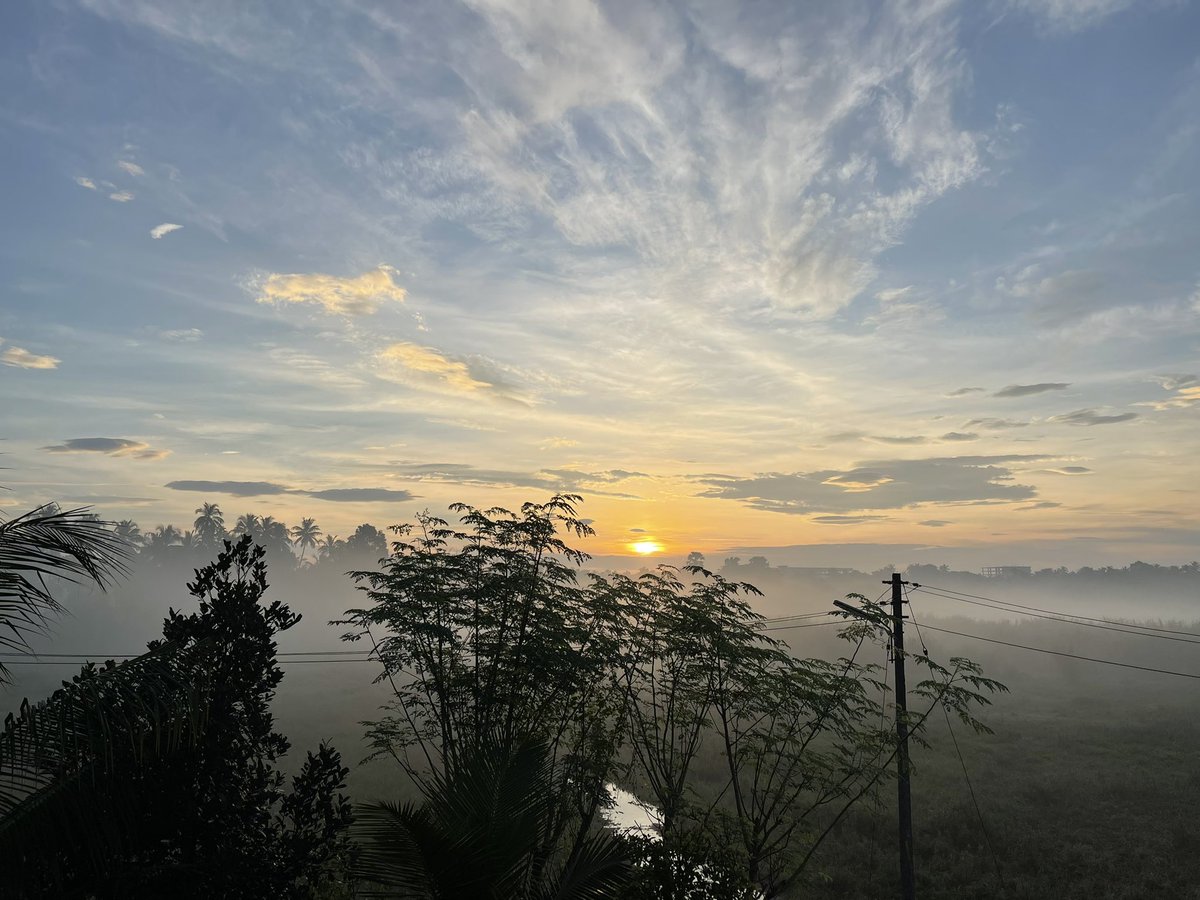 vinyasvkumar's tweet photo. Winter Vibes with such morning mist clicks different🤩✨ https://t.co/2kXVW2ioOp