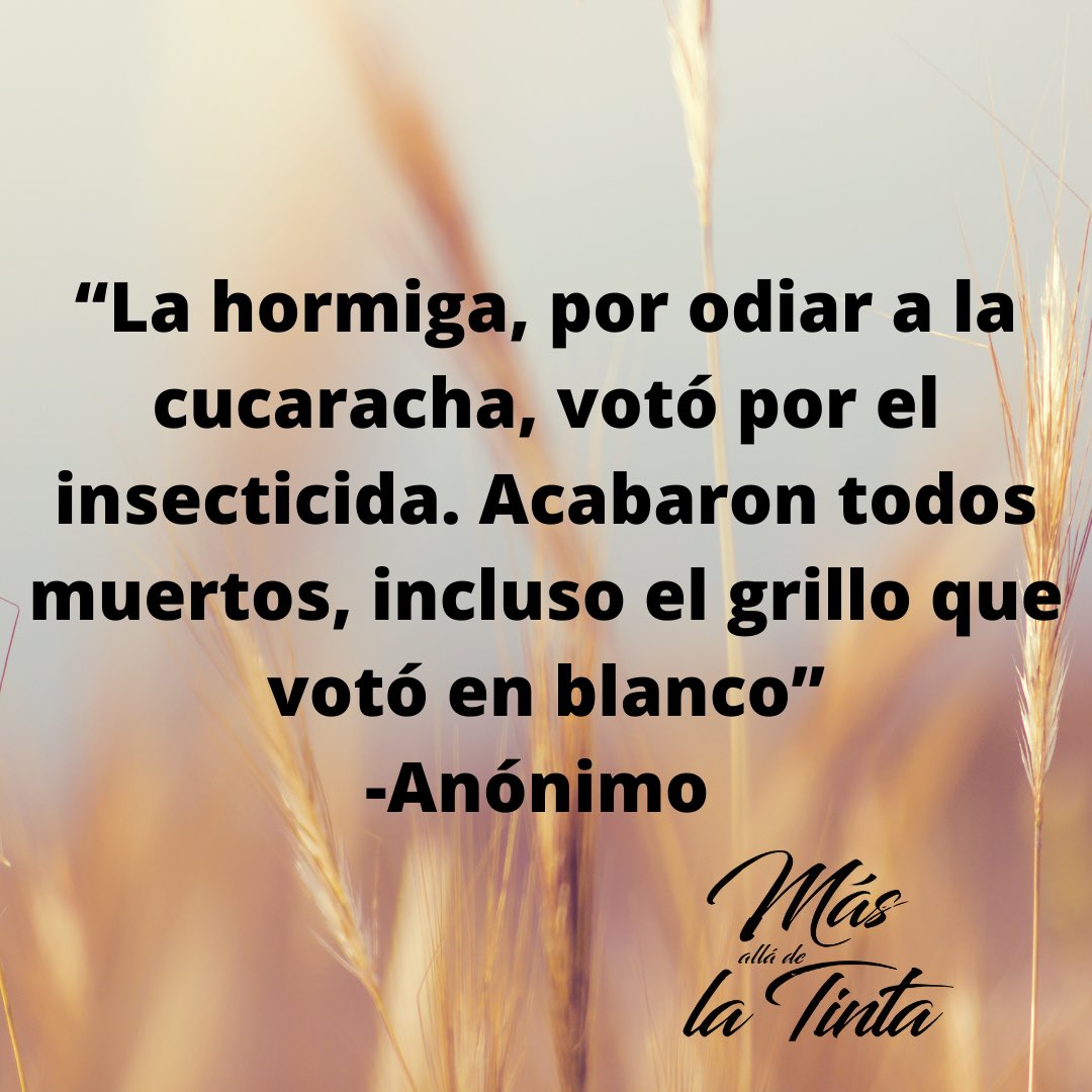 luisffaraj's tweet photo. https://t.co/lZu2Nr7YXF