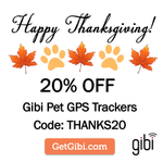 Photo by Gibi Pet GPS Tracking (@GetGibi)