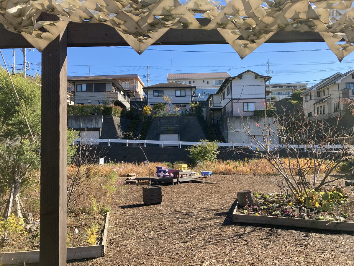 kanadokoro's tweet photo. 【今日のカナドコロ】
こんにちは、秋晴れの続くいい天気ですね☀️
カナドコロでは、ツバキが先週から咲き始めました❁冬に近づくのを感じますね⛄️❄️✨

12月にはカナドコロマーケットを開催します！出店店舗紹介もありますので、お楽しみに☺️

#カナドコロ #新百合ヶ丘 #金程 #広場 #endolab https://t.co/S0PGO01Wuw
