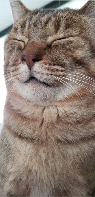 素人は黙っとれ 