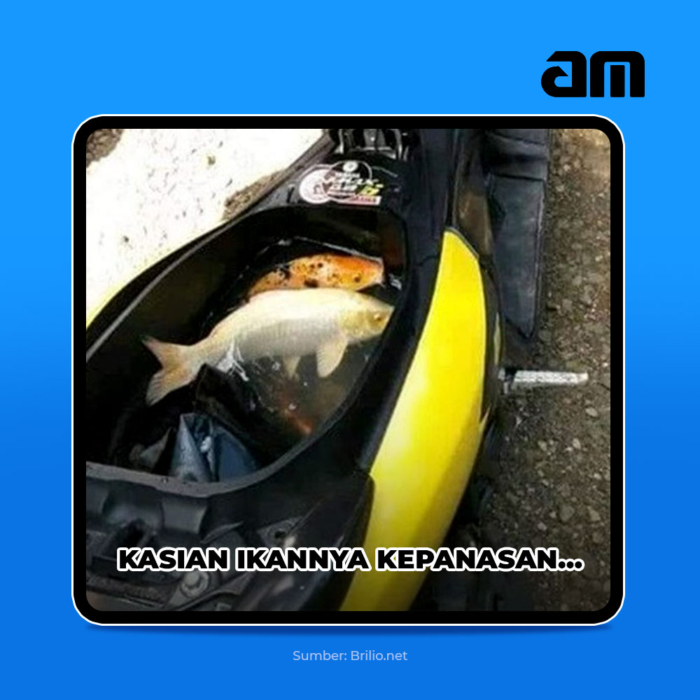 AM_MortarID's tweet photo. Bapack biasanya naro apa aja di jok motor?
Kalau tetangga AMin mah ada aja nih Pack kelakuannya kek gini👇 Kira-kira mana nih yang bakal Bapack praktekin?😆😆
#AMuntukIndonesia #PilihanCerdasBapackKeren #PeloporNat #receh #recehindo #dadjokes https://t.co/nENLrbBSih