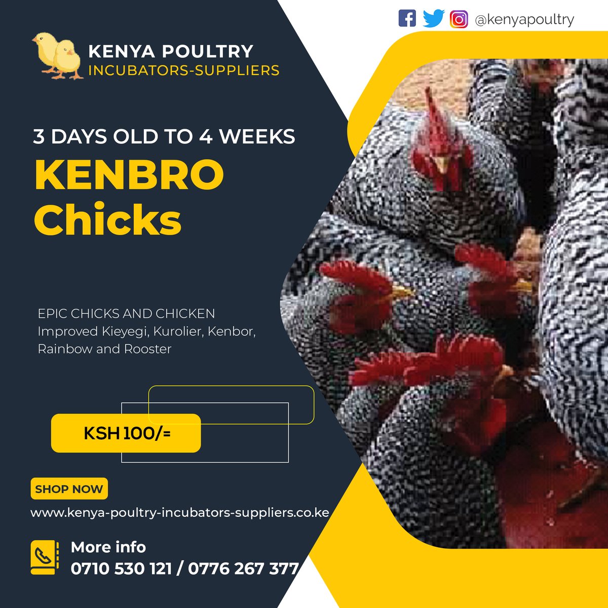 Kenya Poultry Incubators Suppliers 
Call us on 0710 530 121
Dealers In: 
1. Eggs Incubators
2. Cages &amp; Housing
and other poultry items
Ramos  Guardiola Ngirici Sonko #PochOut Haaland Pessi Nairobi West Hospital