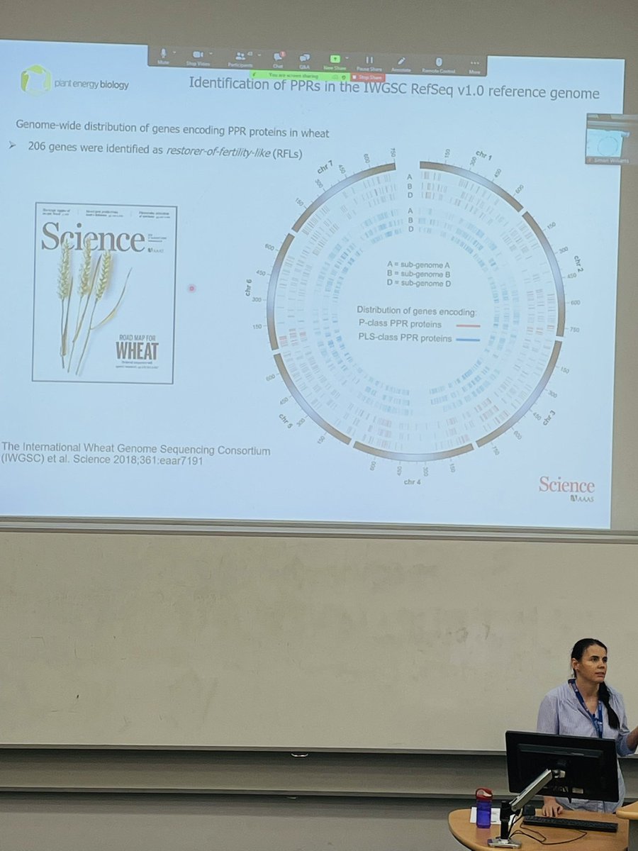 Mkamrann's tweet photo. Congratulations to @jmelonek for Goldacre Award. She is presenting her exciting story about Unlocking the genetic secret of cytoplasmic male sterility and fertility restoration in cereals. @asps_ozplants #ASPS2021 #WAPlantSci https://t.co/tfpGKnMs89