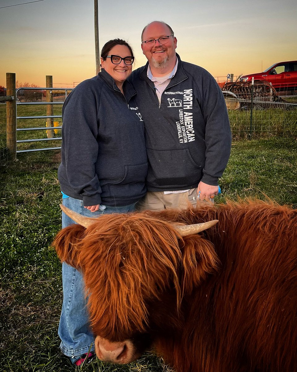StenaMeadows's tweet photo. When your coo learns to photobomb! #LifewithLadyMay #HighlandCow https://t.co/ujT3dWPPlw