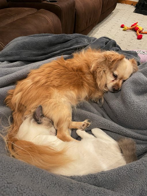 In other news. My heart is so full. https://t.co/DBdHJoLax9