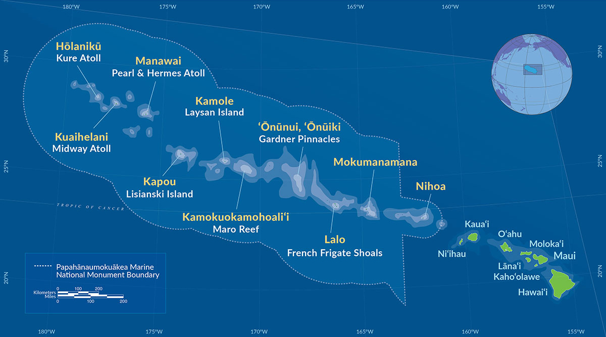 KristiKimura's tweet photo. Following other co-managed Indigenous spaces, Kalani Quiocho looks to integrate Native Hawaiian #values into the co-management of #Papahānaumokuākea, through understanding Native Hawaiian peoples' thoughts and connection to the place. #NREMseminar https://t.co/sF0WYKmQ4L https://t.co/PXjzoeTqxy