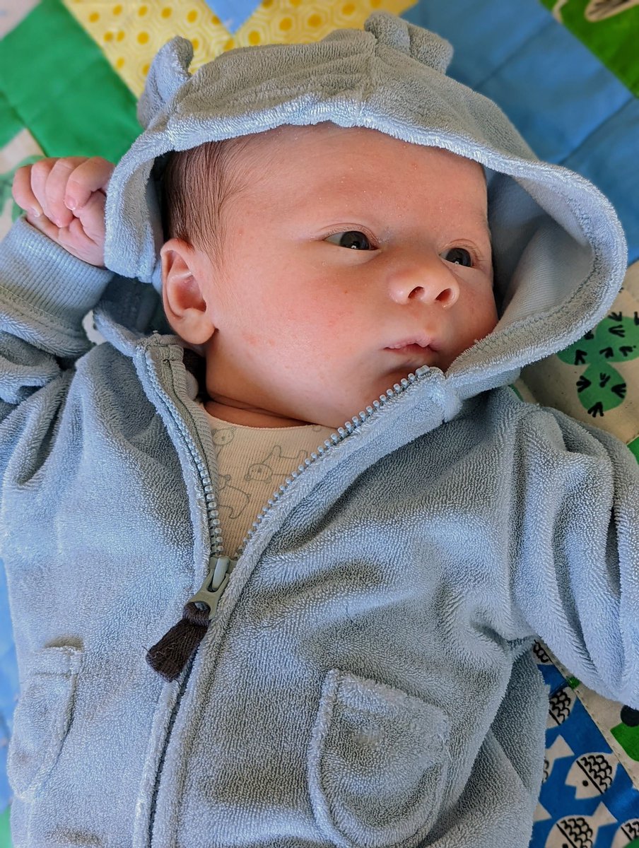 Steve Cary (@sjcary@mastodon.social) tweet media