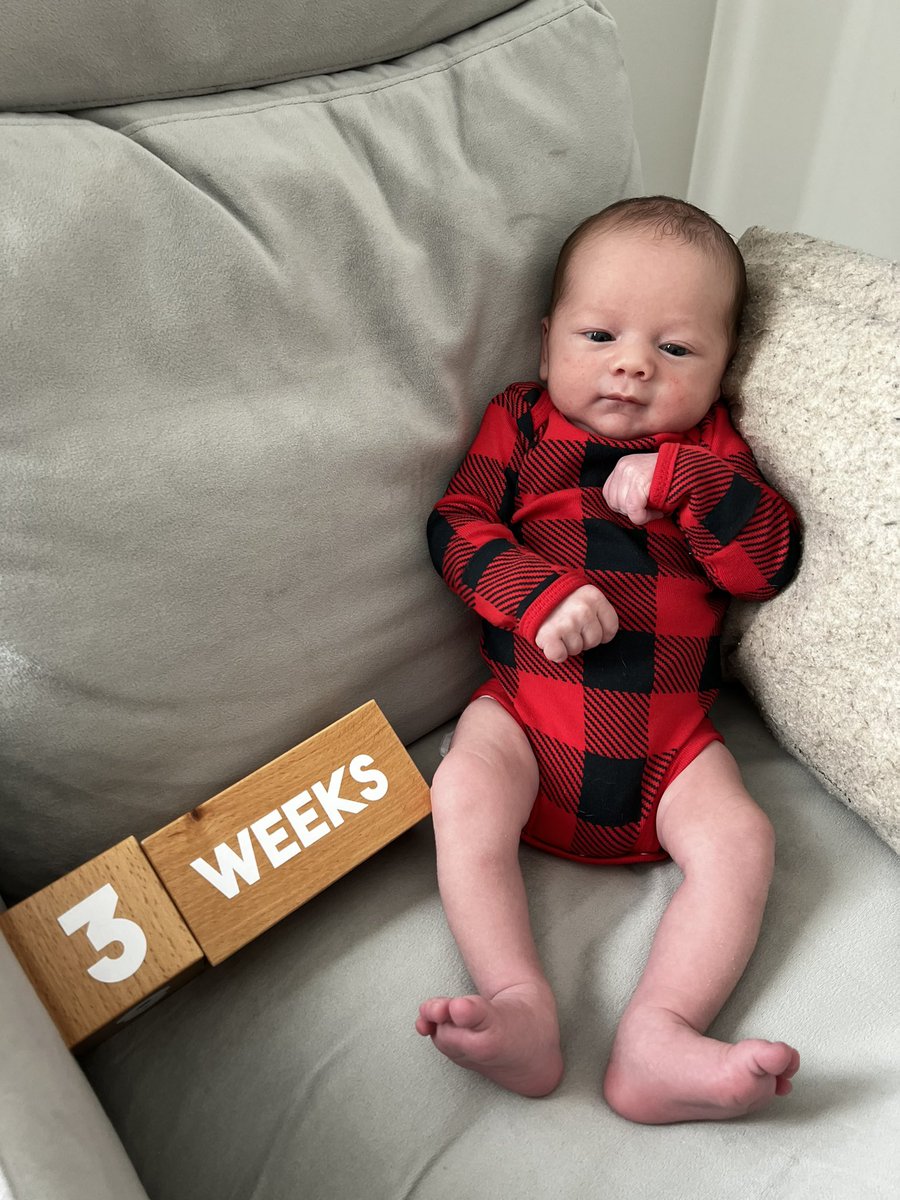 Steve Cary (@sjcary@mastodon.social) tweet media