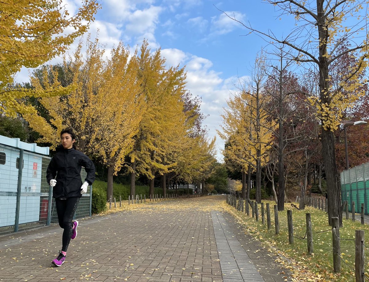 ATHTRACK_AC's tweet photo. 今更原点回帰で
HANZOにハマる。

脚作りによし
感覚を研ぐによし
怪我予防によし

練習内容に応じて
W、R、T、C（これだけ現在展開なし）

#newbalance #HANZO #REVLITE https://t.co/DHHknCi9Ol