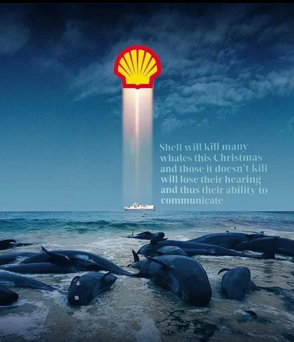 Lauren_Wildling's tweet image. #GoToHellShell