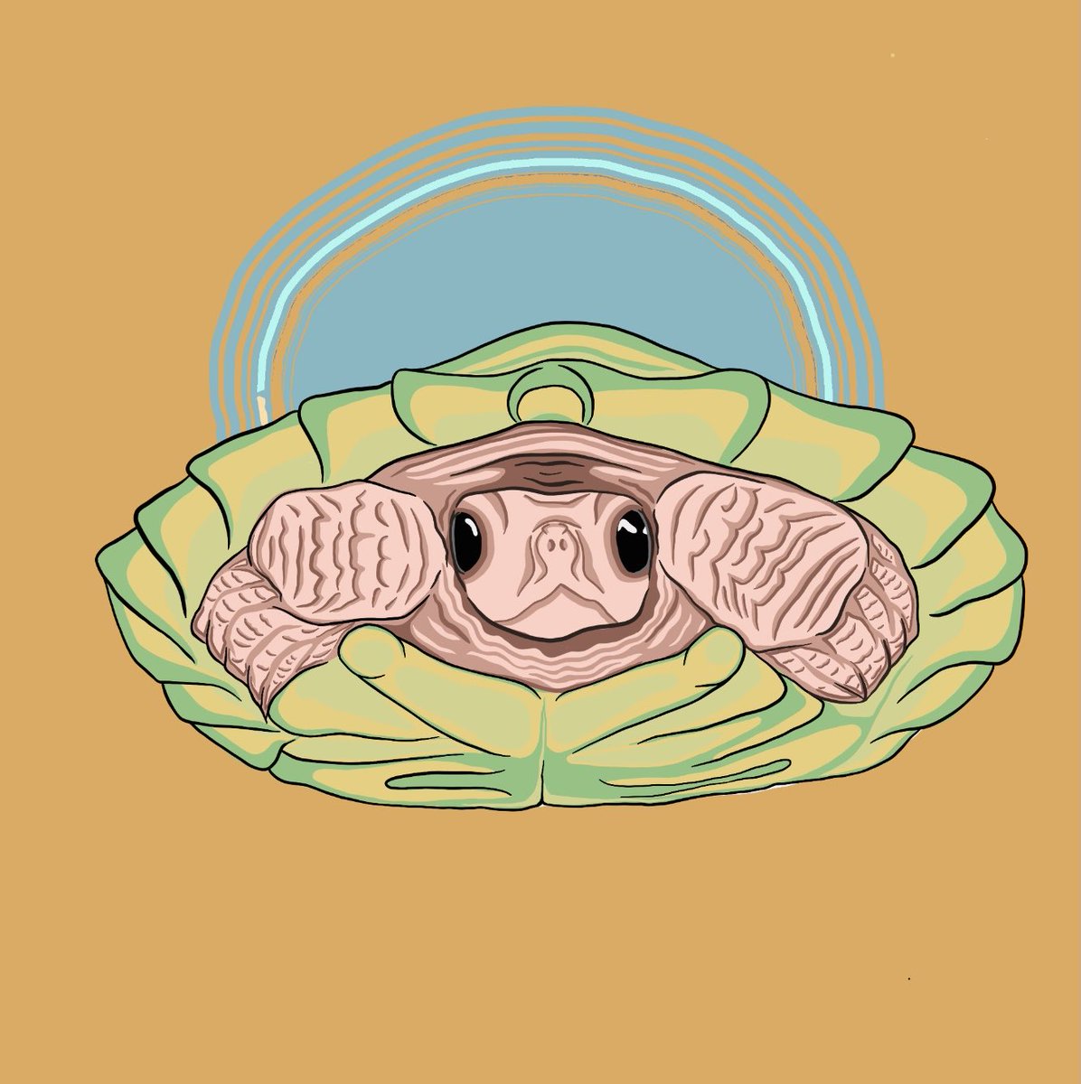 Ruby Solomon tweet media