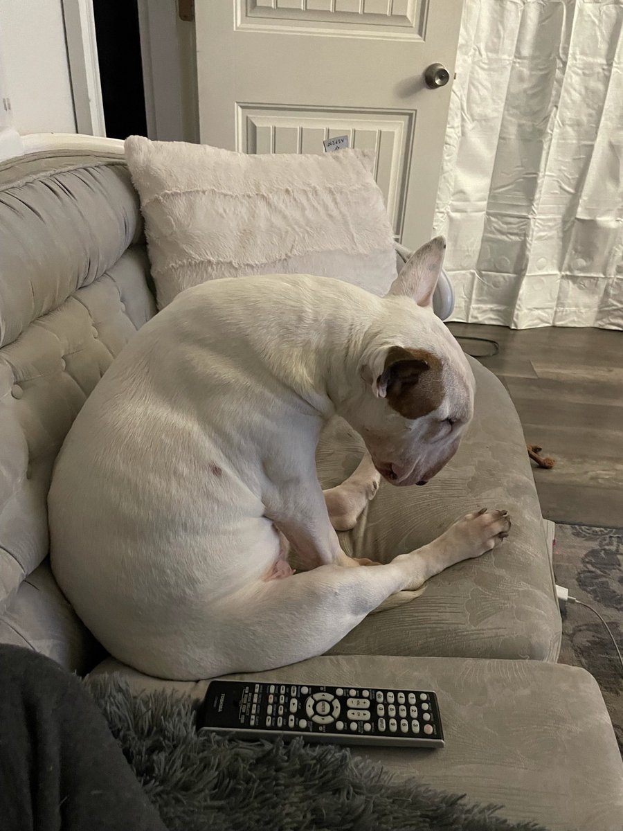 sadiegm13's tweet photo. Joe expresses happiness and sadness even if she’s rly tired https://t.co/eKw9SE8ykp