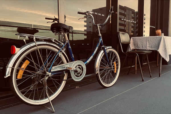 scenestr tweet media