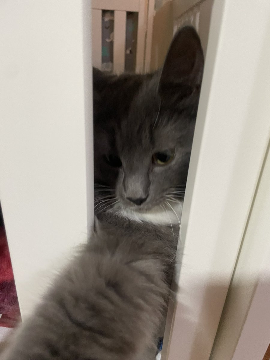 mol 🧸 tweet media