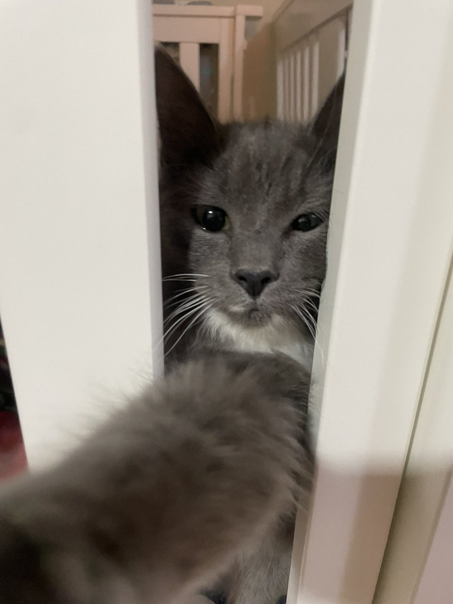 mol 🧸 tweet media