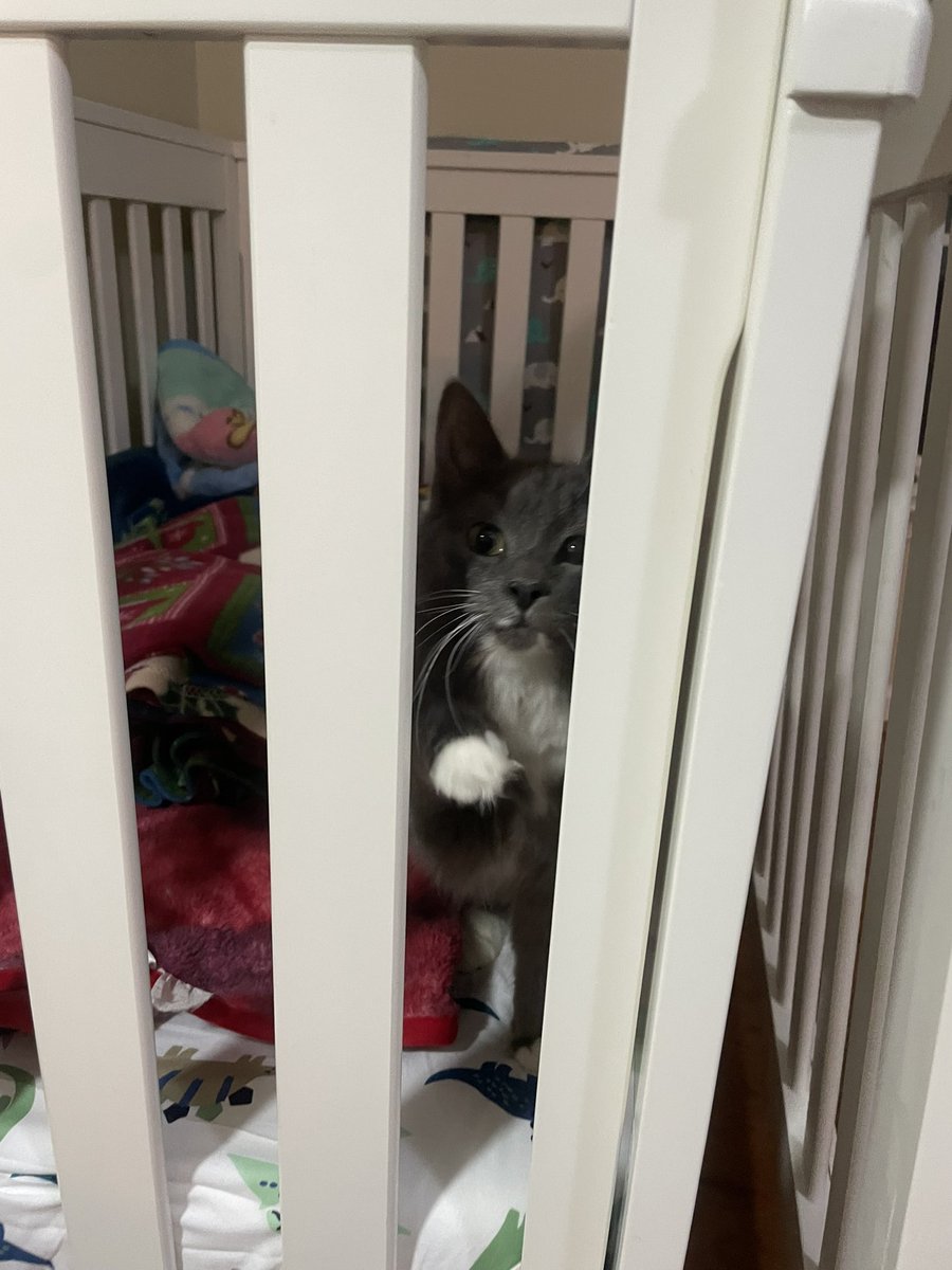 mol 🧸 tweet media