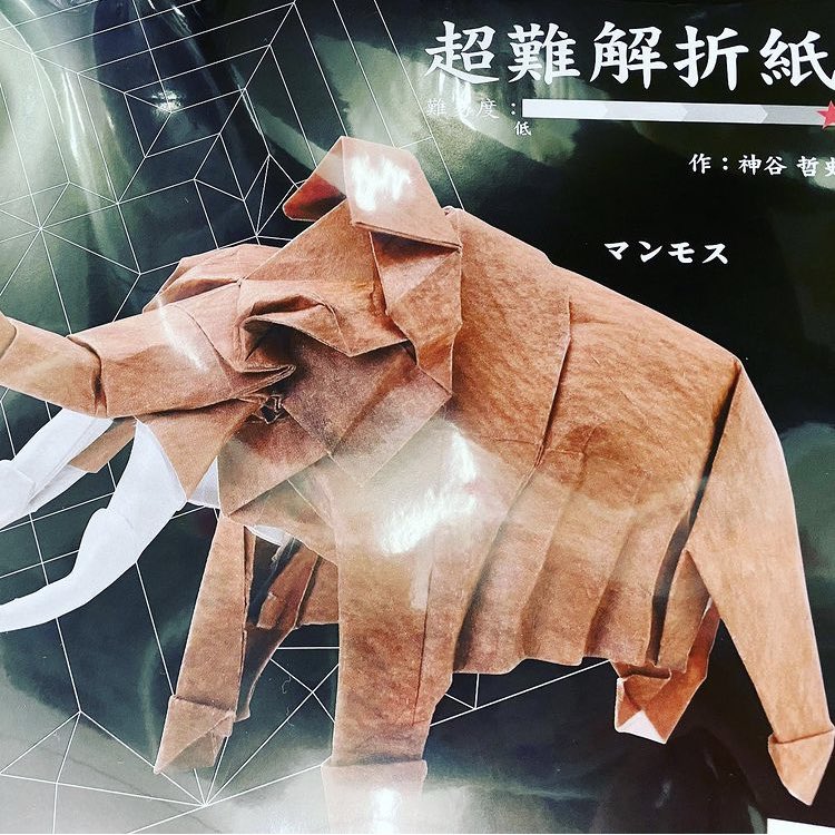 تويتر 成豊堂 ナルホド على تويتر 心が折れる折り紙 折り紙メーカー トーヨーさんの超難解折り紙 が入荷しました 1枚の紙でペガサスやユニコーンなど重厚な作品が作れる かもしれない折り紙です 折り紙に自信のある方の挑戦待ってます 折り紙 Origami 超