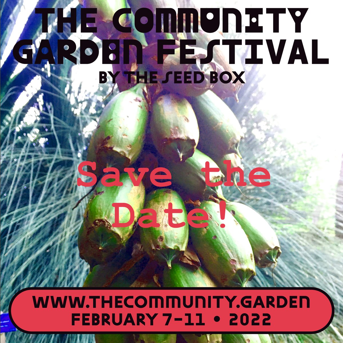the_seedbox's tweet photo. THE SEED BOX COMMUNITY GARDEN FESTIVAL
7-11 Feb 2022
An online gathering of the environmental humanities community to celebrate The Seed Box & take stock of the incredible & diverse research carried out within our programs. #EnvHumanities #SeedBoxFestival
#SeedBoxGarden https://t.co/tp0Dfdv9Oi