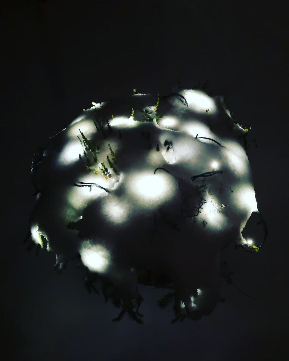 ❄️❄️❄️💙💙💙