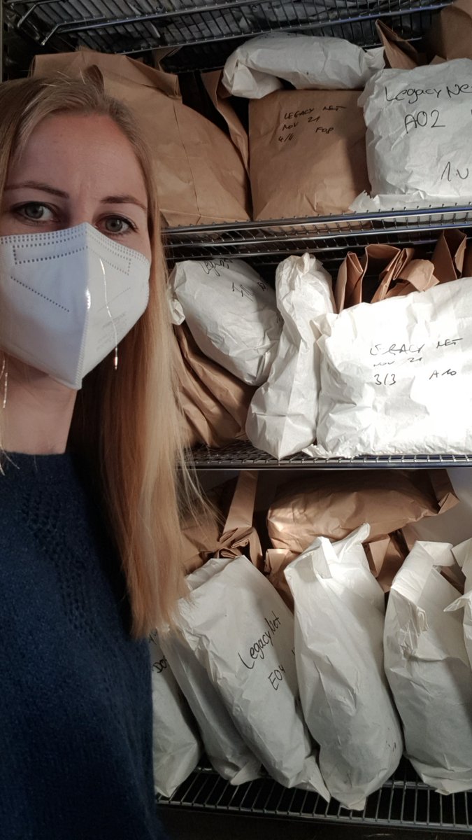TerrEcolGroup's tweet photo. After harvesting plant community biomass of #LegacyNet, samples were sorted by species, dried and weighed. Samples will now be grinded so they can
be used for a quality analysis. Thanks to Laura, @sebastiantmeyer , Sarah and various helpers in the team for a successful year! https://t.co/AOqJWMOl2C