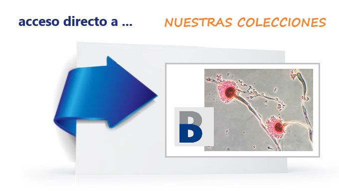 INSST_MITES_GOB's tweet photo. #DATABiO es una colección de fichas de los agentes #biológicos potencialmente presentes en entornos laborales. Herramienta de gran utilidad para la evaluación, prevención y control del riesgo biológico en cualquier actividad laboral con dicho riesgo.
🔸https://t.co/EJPkIOs9Qd https://t.co/H9tiYG9cDC