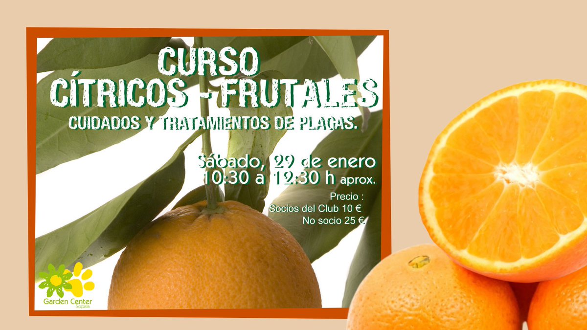 mvgarden's tweet photo. Aprenderemos los cuidados de distintas variedades que se adaptan a nuestro clima, reconocer las plagas que afecta a los #frutales, que las ocasiona, como tratarlas y la mejor forma de prevenirlas. 🌳

🗓 29 de enero de 2022
⌚ 10:30 - 12:30 aprox.

➡https://t.co/G3sfRMMHen https://t.co/iEJsZrolwW