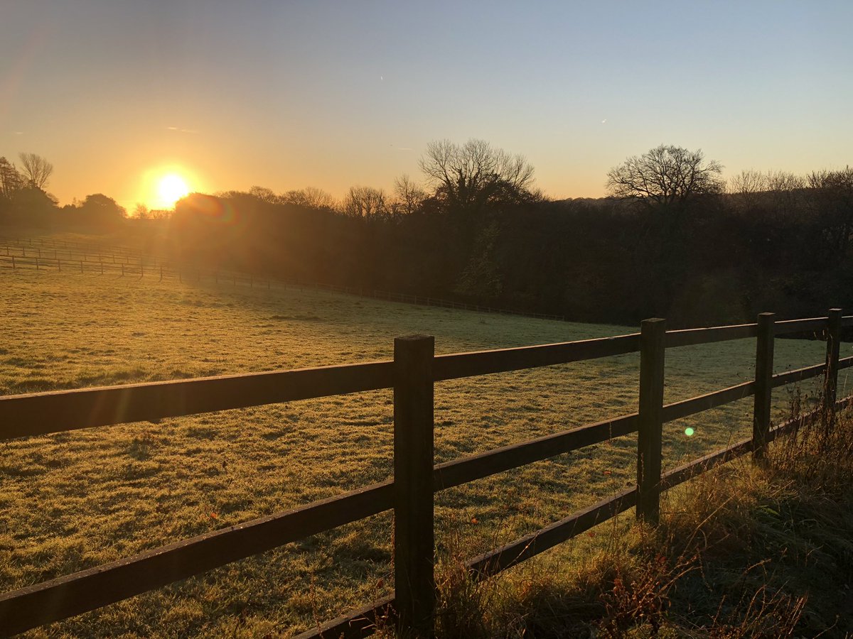 It’s actually quite nice out there today