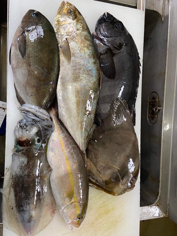 kunip0617's tweet photo. 長崎五島列島のお魚たち✨ https://t.co/bMR5lb8JiG