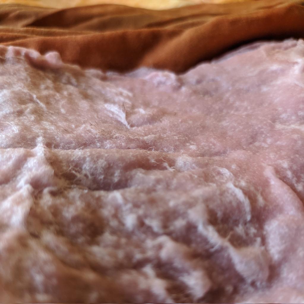 Figleglum's tweet photo. Arrakis on my kitchen https://t.co/k2xp5Pla7V