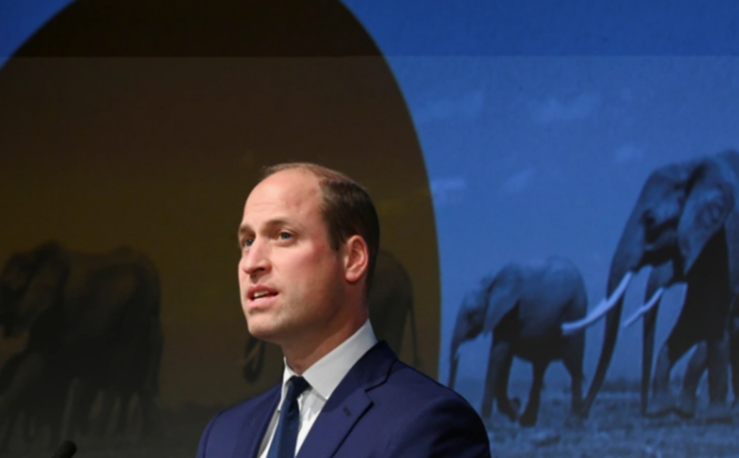 AJEnglish's tweet photo. “Mr William has no moral authority to say anything about Africa or about Africans and their lives.”

Prince William slammed for suggesting population growth is endangering wildlife in Africa https://t.co/fTs39RRCpi https://t.co/brqJGZamro