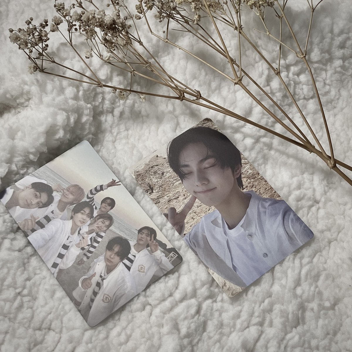 rkivnove's tweet photo. 📓 : 112521 mail ☻︎
— #hiyenhypenproofs
hii @4_heeseung ! thank you so much for bringing wonie and the boys home safely ♡︎ I also love the freebies HAHAHA tysm ! ‘til our next transaction !
﹂#novemails https://t.co/HoLEn89oFA