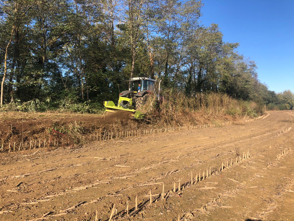 Alameda Torrent SLU tweet media