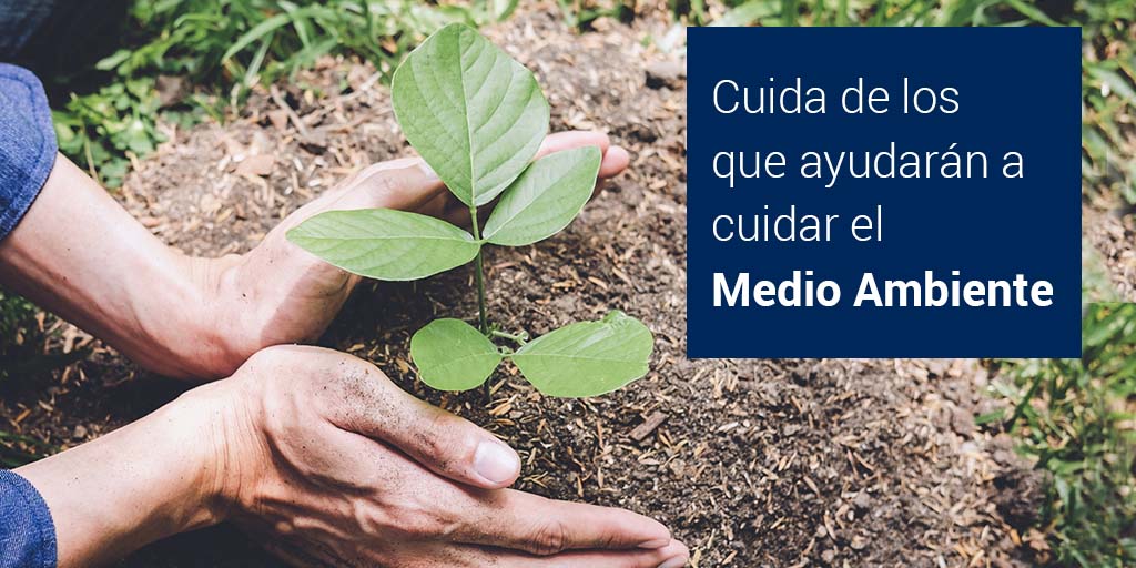 EuroinnovaEdit's tweet photo. ♻ Haz que tus alumnos ayuden a cuidar el medio ambiente
¿Cómo? 🤔
🤔Con nuestros cursos en Medio Ambiente
¡Consulta nuestro catálogo!📚
👉https://t.co/96lfLaXKEa
#formacionprofesional #contenidosformativos #contenidoselearning #consultoriaformacion #centroformacion https://t.co/zSKiQ9kWUe
