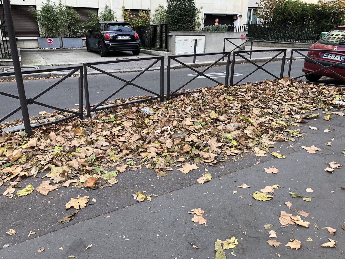 Manifestement la ville veut réimplanter le 🦔 sur les trottoirs parisiens. Je doute pour le 🦔 en revanche l’implantation de masques 😷 et de détritus c’est bien parti #saccageparis