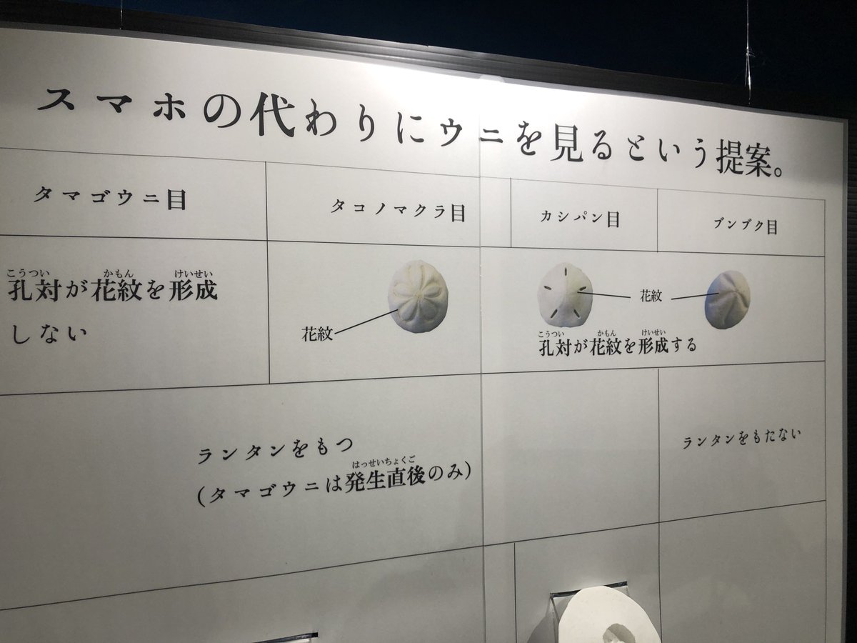 あわしまマリンパーク水族館のめちゃくちゃウニが好きな飼育員さんが超ウニを押しすぎて狂気を感じる ウッニ Togetter