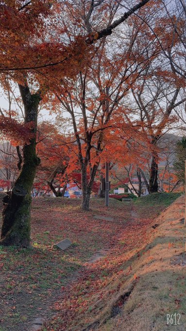 太宰府竈門神社の紅葉22見頃やライトアップは アクセスや駐車場も解説 ココミミ情報局 花の見頃 イベント情報