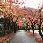 Yokoyama Takuyaのツイート画像