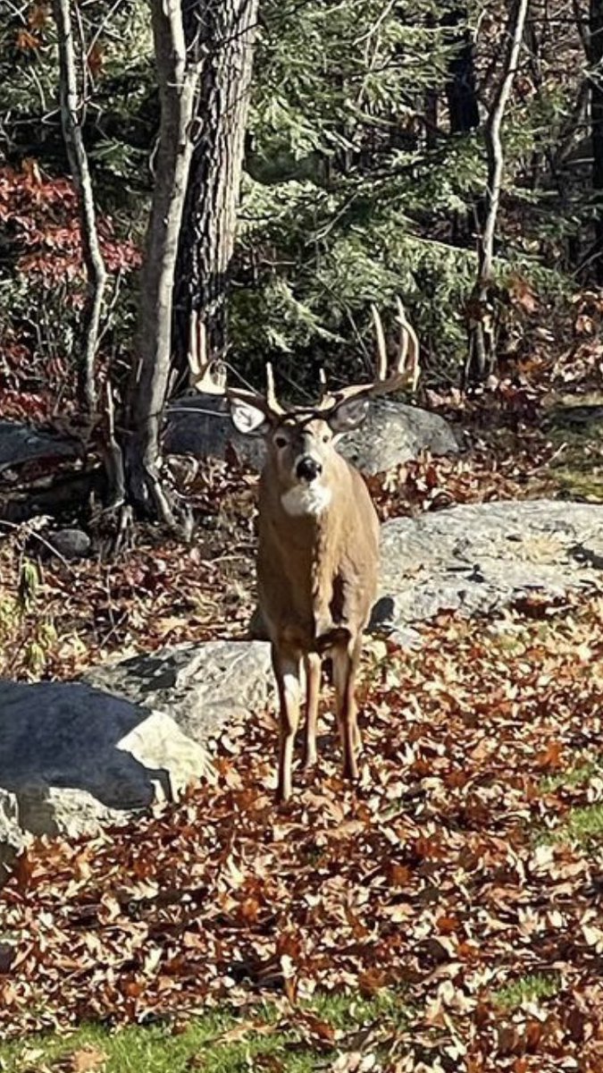 <a href="/LisaHunting/">Lisa Thorne</a>