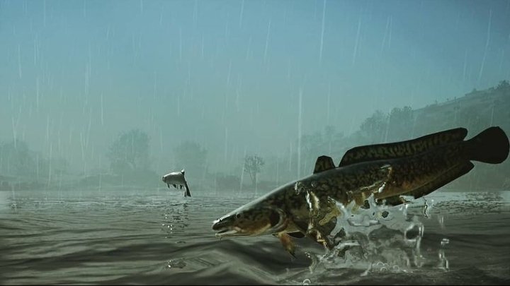 r0gues_fr0ntier's tweet photo. #VPRain #jumpingfish #VirtualPhotography #AssassinsCreedValhalla #Ubisoft #societyofvirtualphotographers #WorldofVP #ZarnGaming #TheCapturedCollective #GamerGram #ArtisticofSociety https://t.co/CfXajRLULb