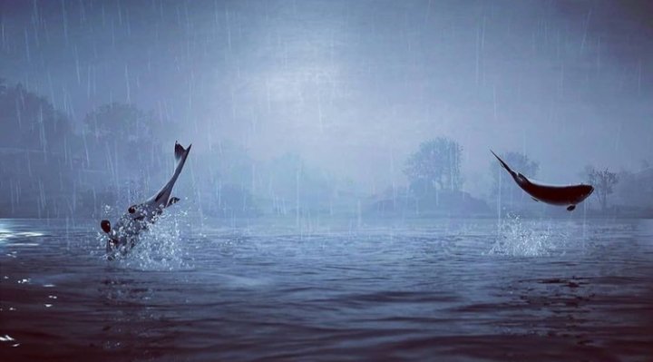r0gues_fr0ntier's tweet photo. #VPRain #jumpingfish #VirtualPhotography #AssassinsCreedValhalla #Ubisoft #societyofvirtualphotographers #WorldofVP #ZarnGaming #TheCapturedCollective #GamerGram #ArtisticofSociety https://t.co/CfXajRLULb