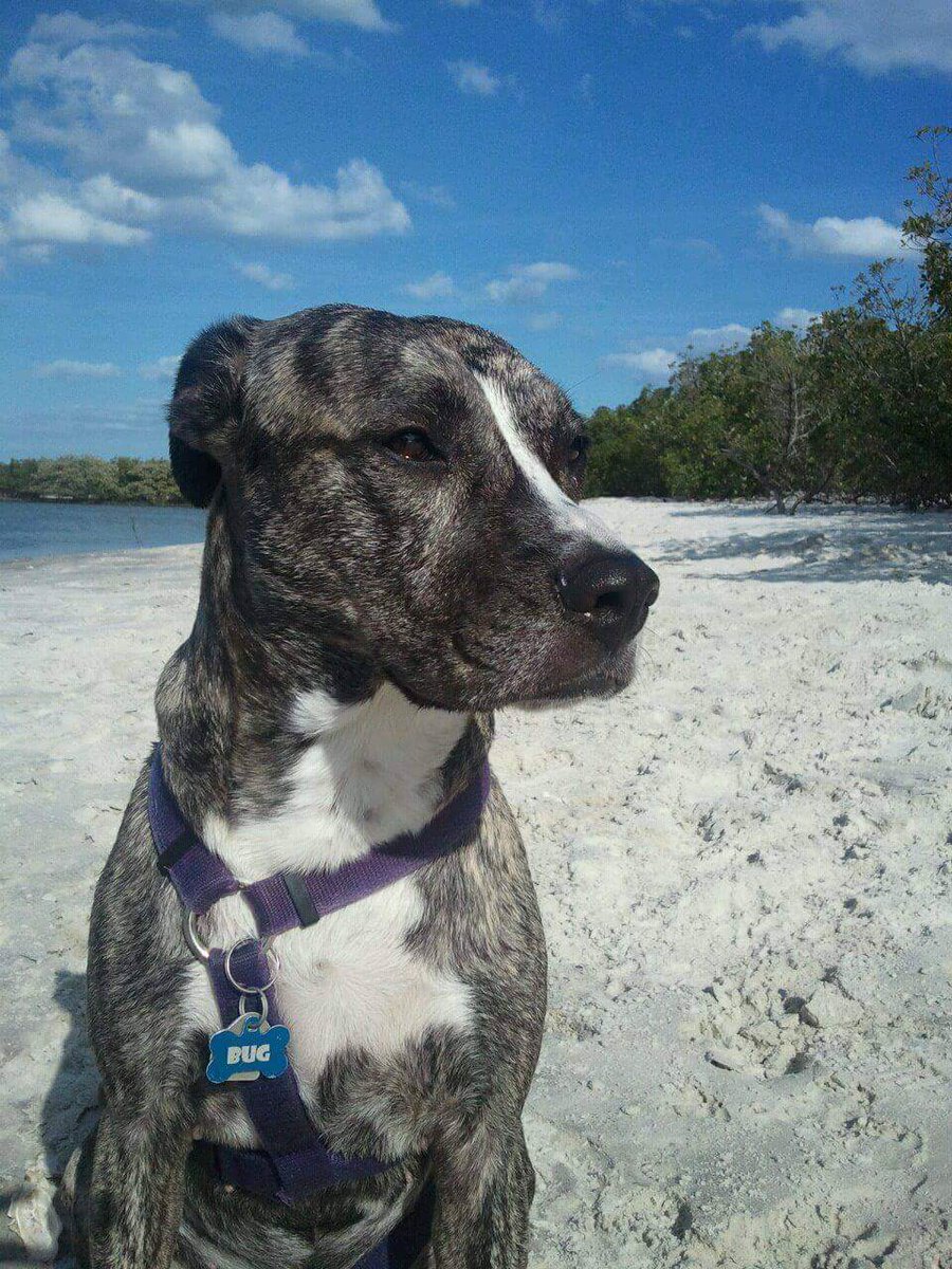 INFAMOUS_RJK's tweet photo. @peppercutsgrass #RIPBUG https://t.co/3tnOFGTEBJ