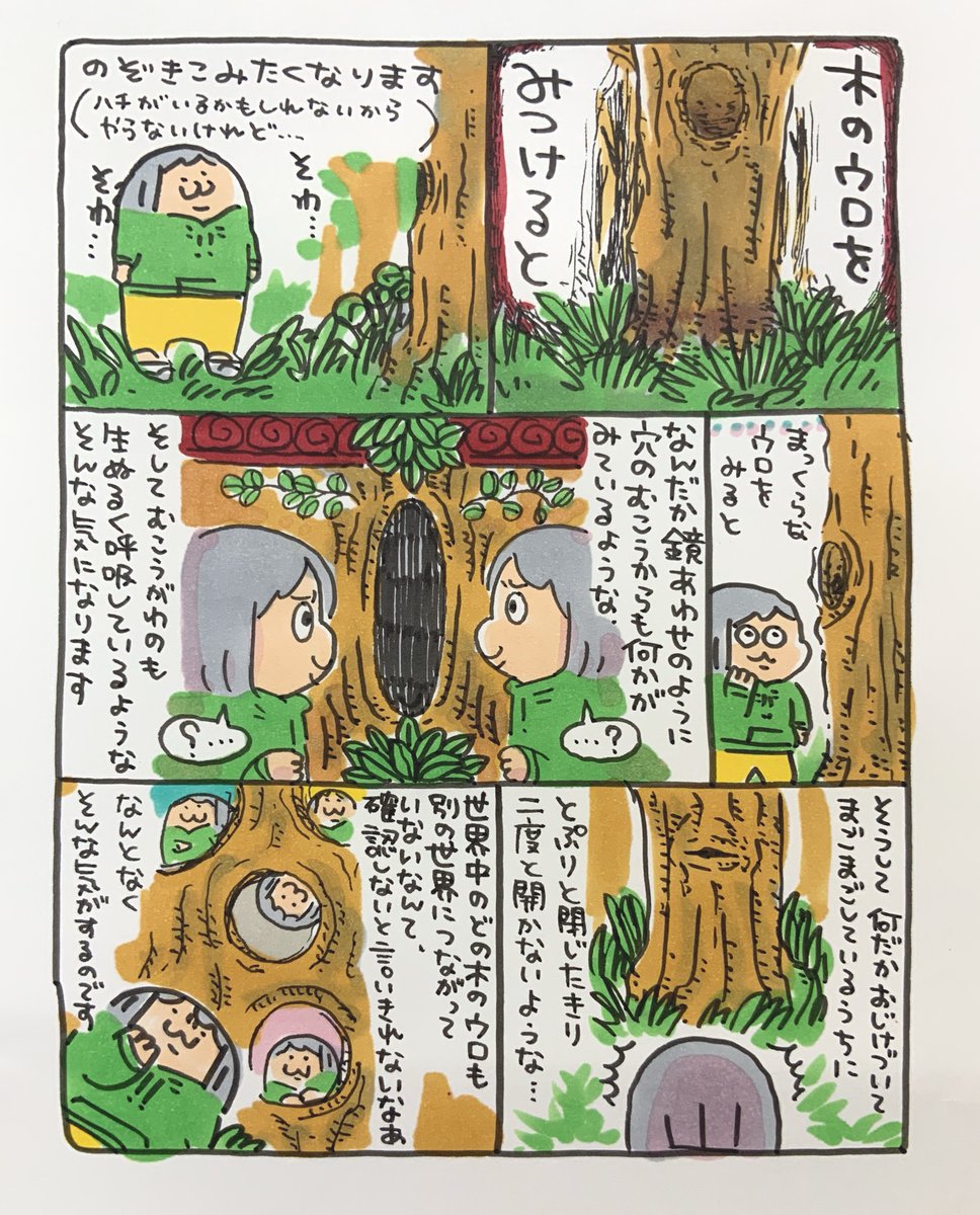【ポップ担当日記】
木のウロを見ていると、なんだか向こうからも興味を持って見られているような不思議な気持ちになります。この気持ちは一体なんなのでしょう?そわそわ・・・