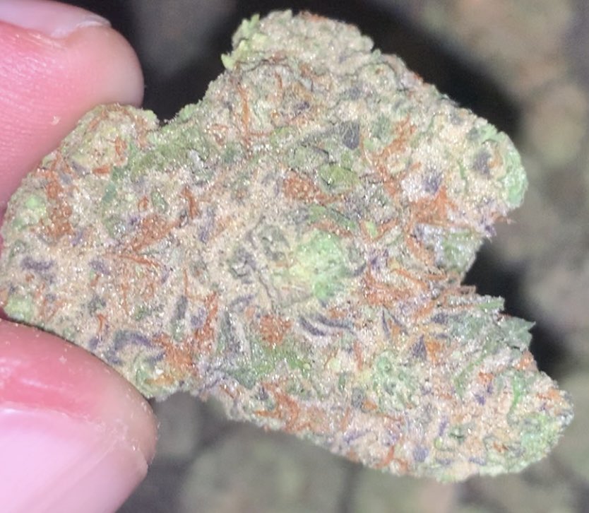 Seromwon's tweet image. New batch of #medicalcannabis