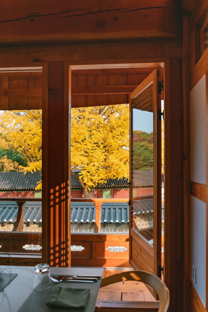 KoreanTravel's tweet photo. A beautiful restaurant &amp; cafe located near Changdeokgung Palace!✨You can only get this view once a year during autumn in #Seoul.

📍 mishmash: 47, Changdeokgung-gil, Jongno-gu, Seoul
 ▪️ 미쉬매쉬: 서울 종로구 창덕궁길 47
📸 Photos provided by TRAVELHOLIC https://t.co/B4lxW8WbkC