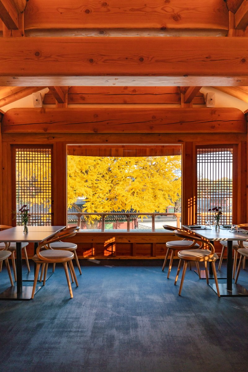 KoreanTravel's tweet photo. A beautiful restaurant &amp; cafe located near Changdeokgung Palace!✨You can only get this view once a year during autumn in #Seoul.

📍 mishmash: 47, Changdeokgung-gil, Jongno-gu, Seoul
 ▪️ 미쉬매쉬: 서울 종로구 창덕궁길 47
📸 Photos provided by TRAVELHOLIC https://t.co/B4lxW8WbkC